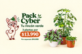 Pack Cyber de Tradescantia Nanouk bowl, Schefflera y Rosario S por $13.990.