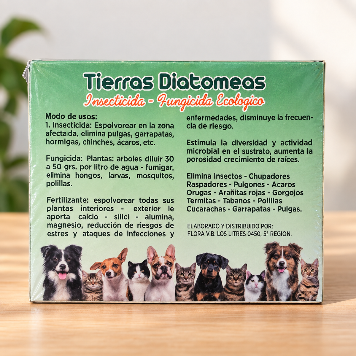 Tierra Diatomeas